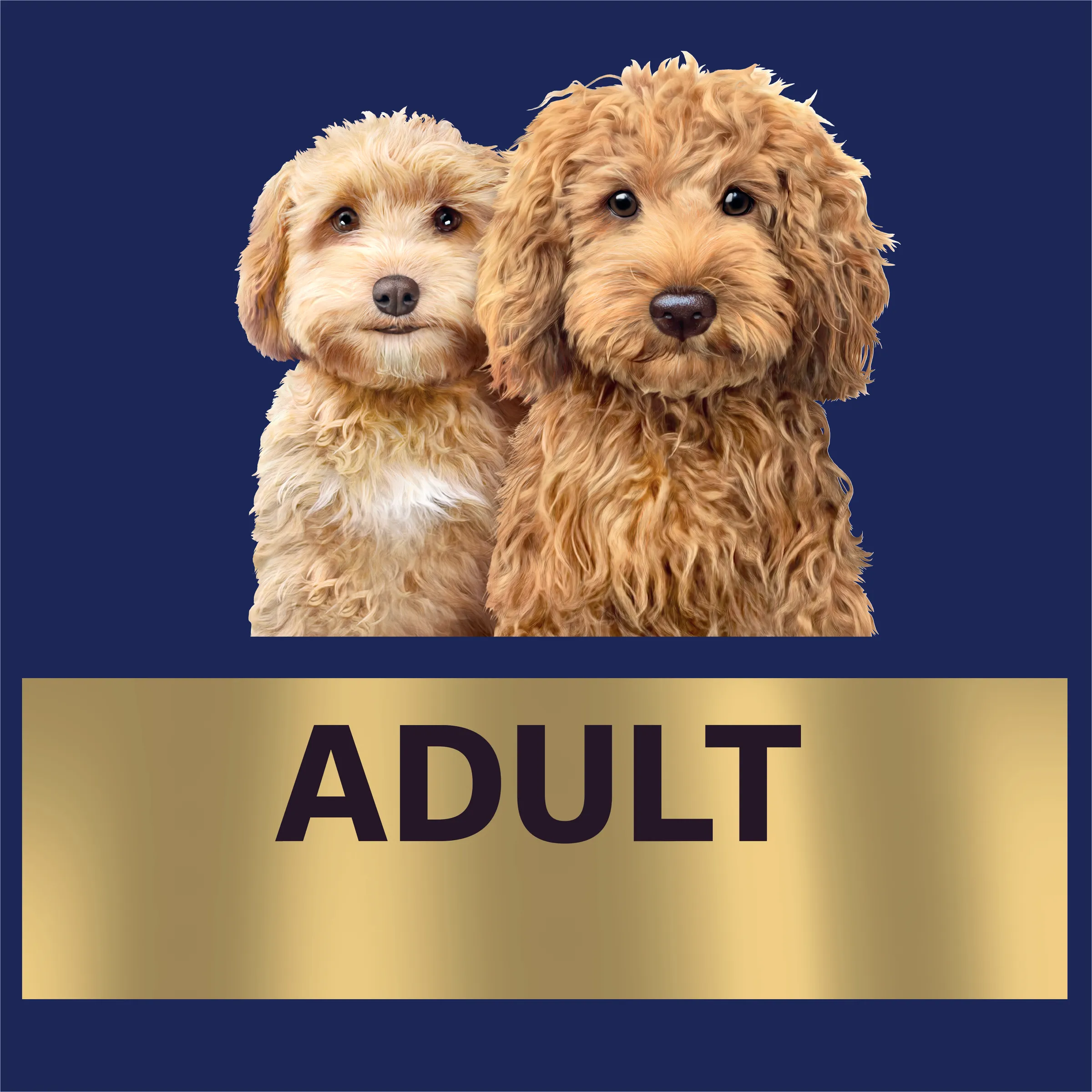 Advance Oodles Small Breed Adult Dry Dog Food