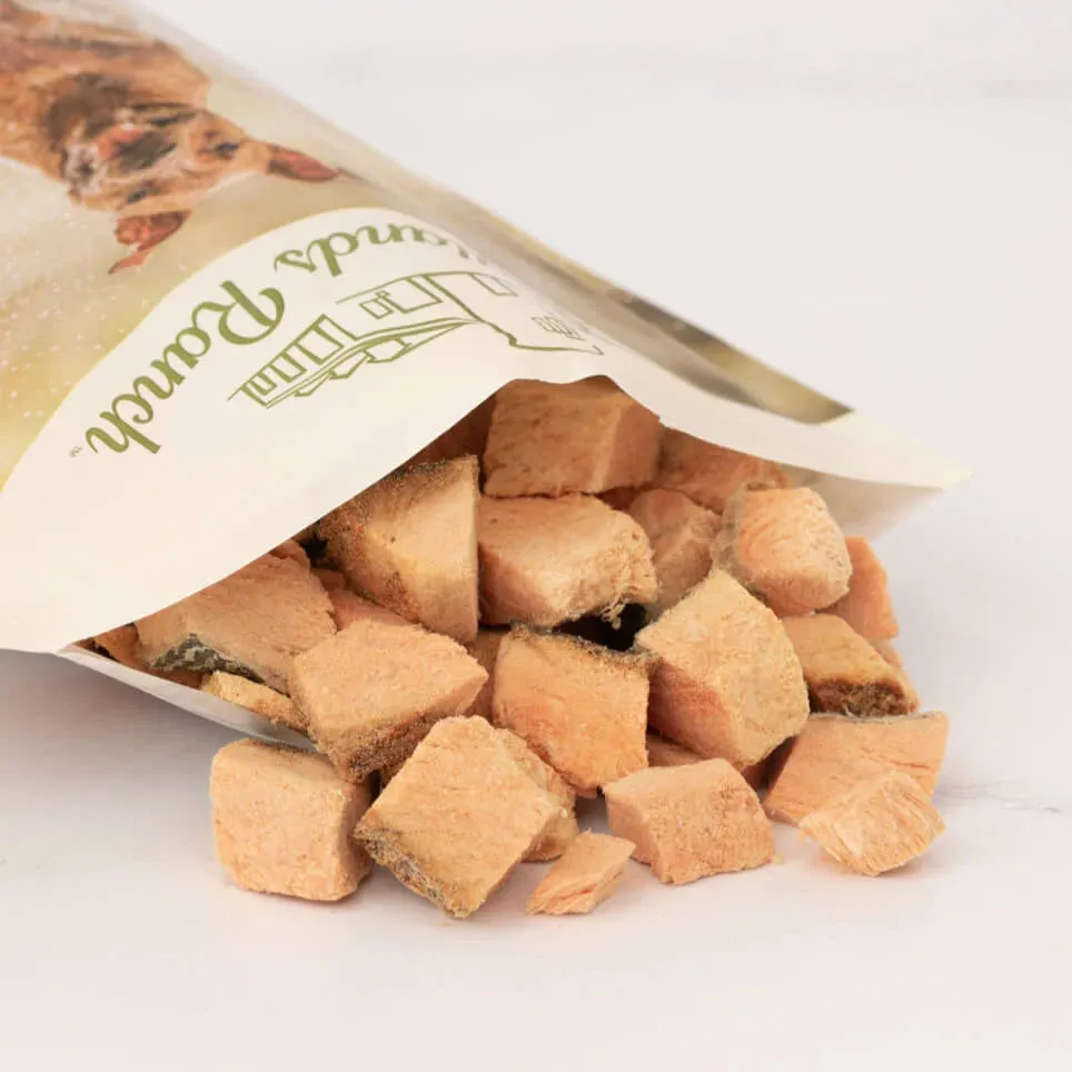 Badlands Ranch Freeze-Dried Superfood Bites Salmon Dog Treats