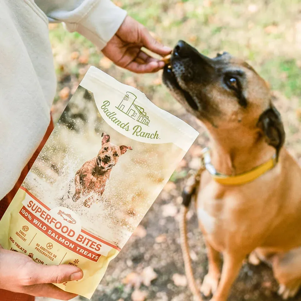 Badlands Ranch Freeze-Dried Superfood Bites Salmon Dog Treats