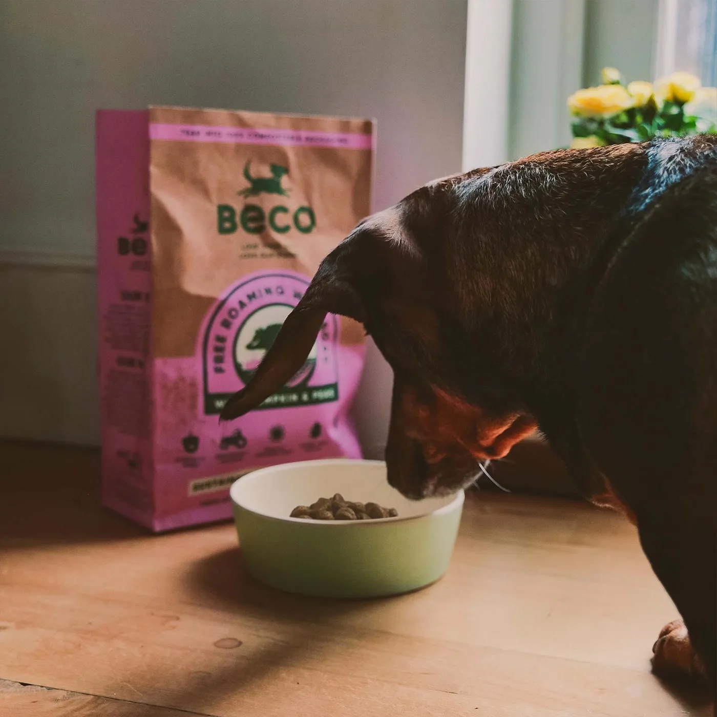 Beco Wild Boar With Pumpkin & Broccoli Dog Food