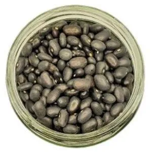 Black Beans Organic