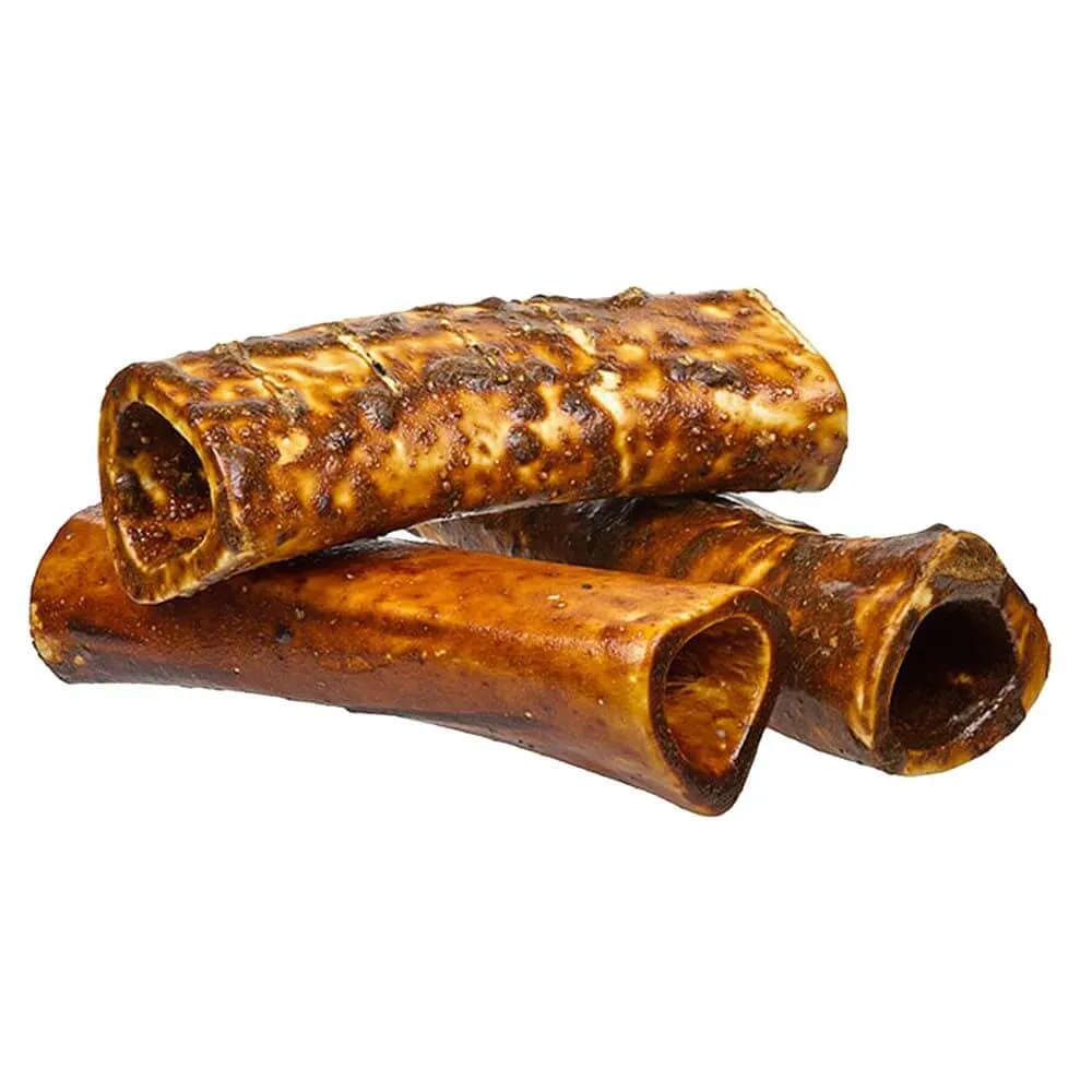 Bully Coated Large Bone