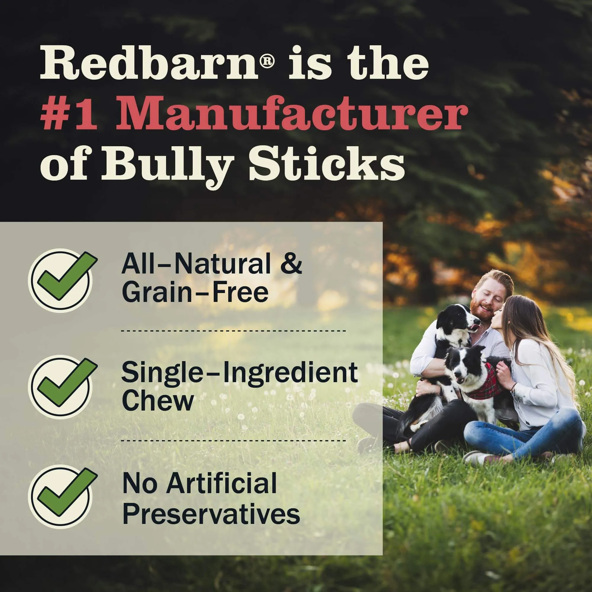 Bully Sticks Party Pack