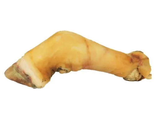 Cow Leg - Large x1 - Whole