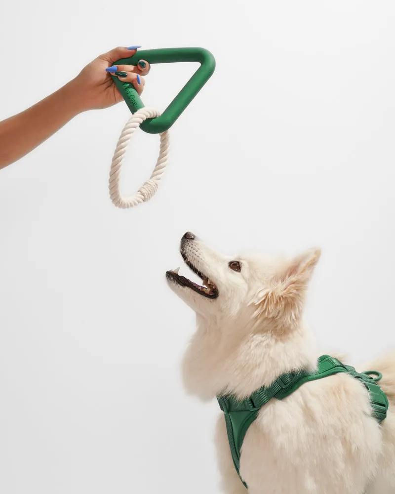 Dog Toy Triangle Tug