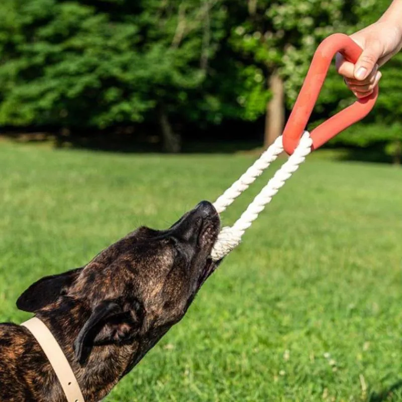 Dog Toy Triangle Tug