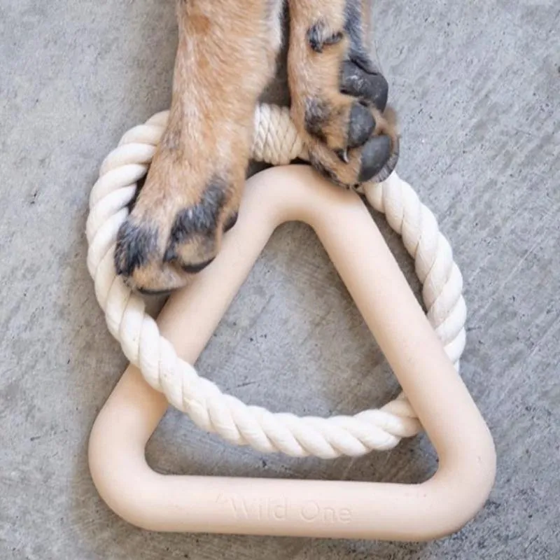 Dog Toy Triangle Tug