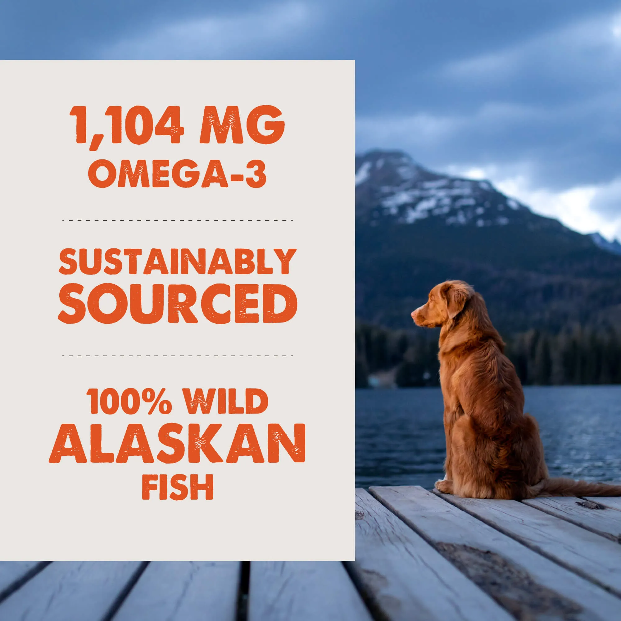 Grizzly Wild Alaskan Salmon Oil Plus