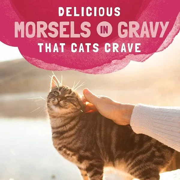 Natural Balance Platefulls Salmon, Tuna, Chicken & Shrimp Recipe Morsels in Gravy Cat Food Pouch