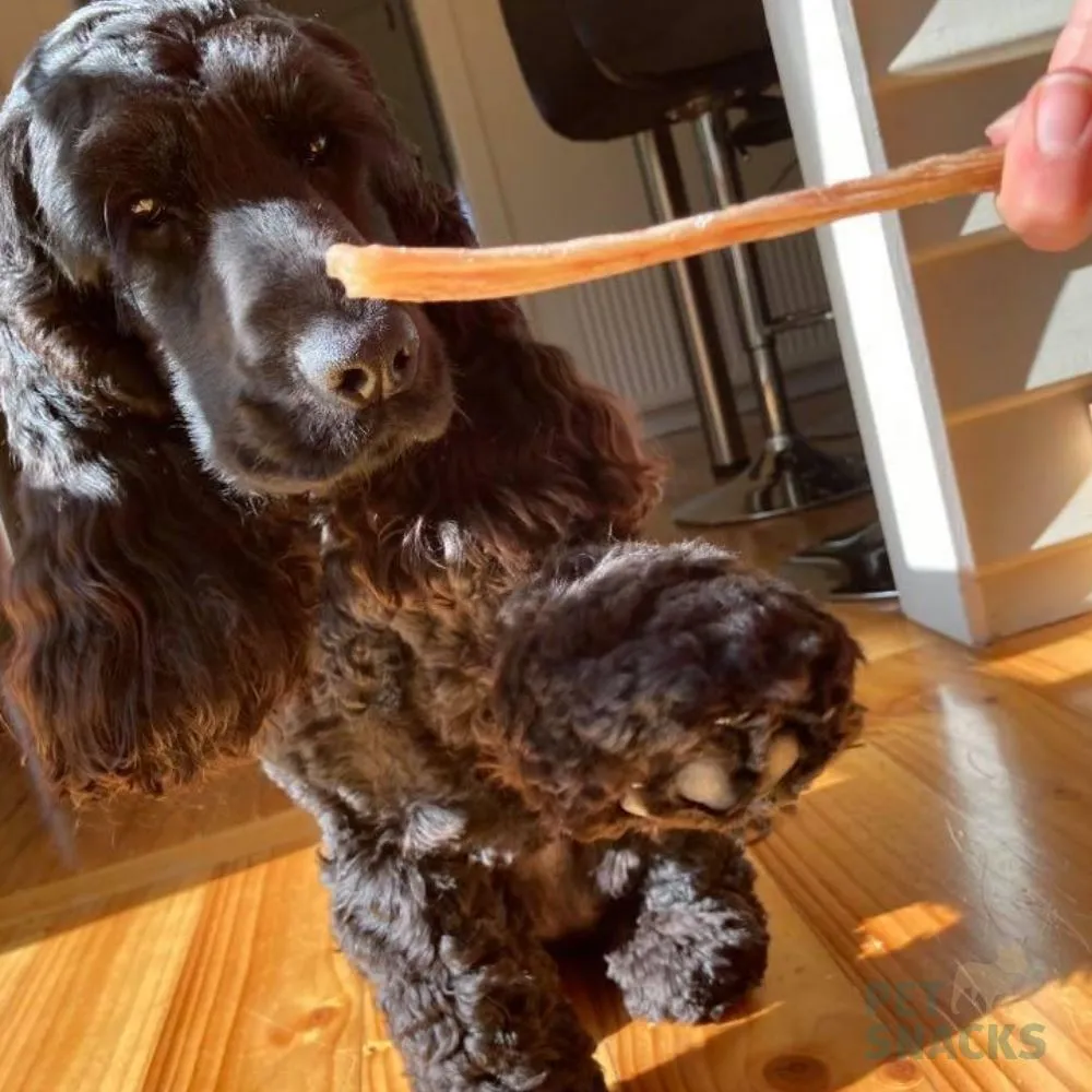 Natural Tendon Dental Chew