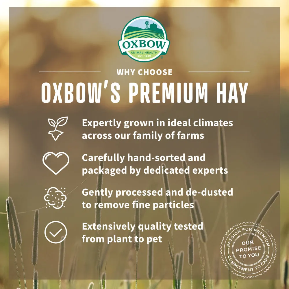 Oxbow Animal Health All Natural Western Timothy Hay for Rabbits Guinea Pigs Chinchillas Hamsters & Gerbils