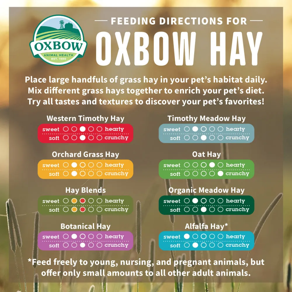 Oxbow Animal Health All Natural Western Timothy Hay for Rabbits Guinea Pigs Chinchillas Hamsters & Gerbils