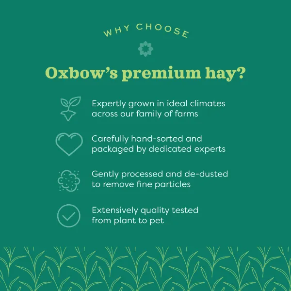 Oxbow Hay Blends Western Timothy & Orchard Grass