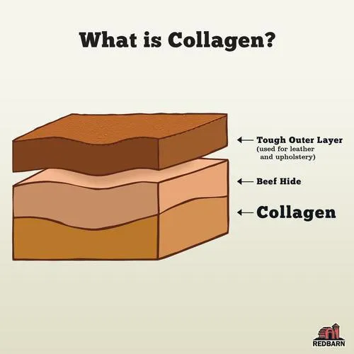 REDBARN - Collagen Stick (Treat for Dogs)