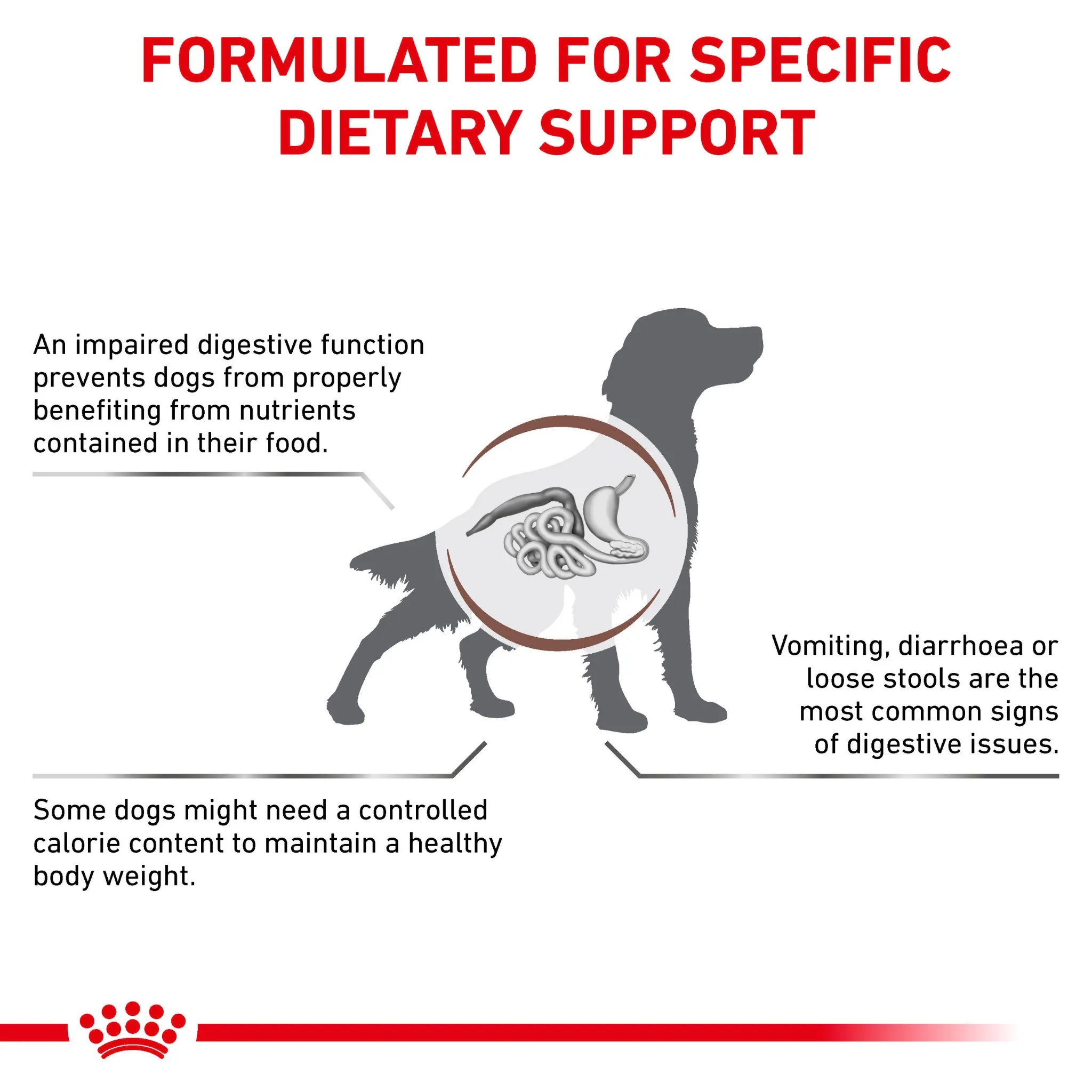 ROYAL CANIN® Gastrointestinal Moderate Calorie Adult Dry Dog Food