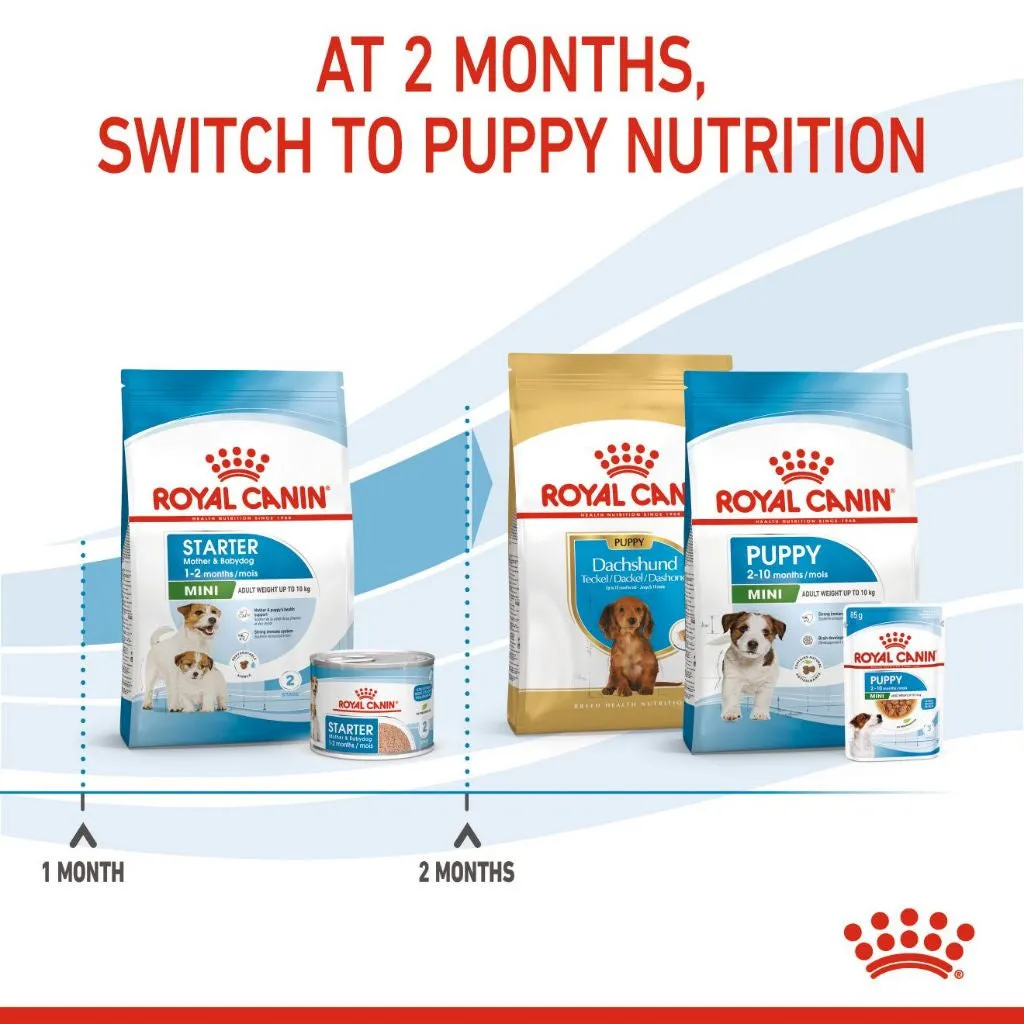 Royal Canin Mini Starter Mother & Babydog 3kg Dry Dog Food for Adult/Puppy/Baby