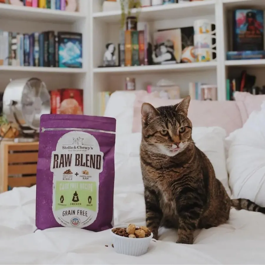 Stella & Chewy's Raw Blend Kibble Cage-Free Poultry Recipe Cat Food