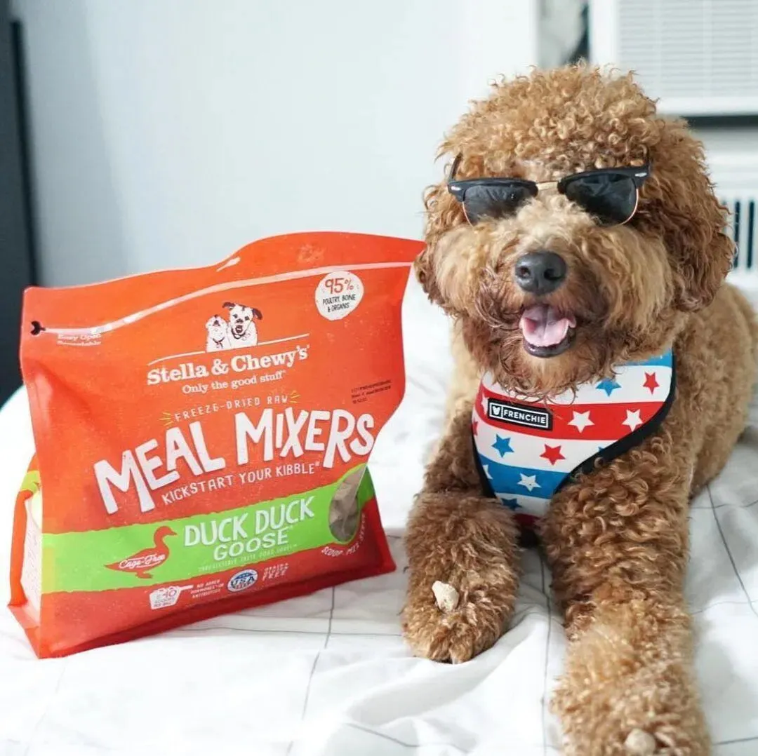 Stella and Chewy's Freeze-Dried Raw Meal Mixers Food for Dogs