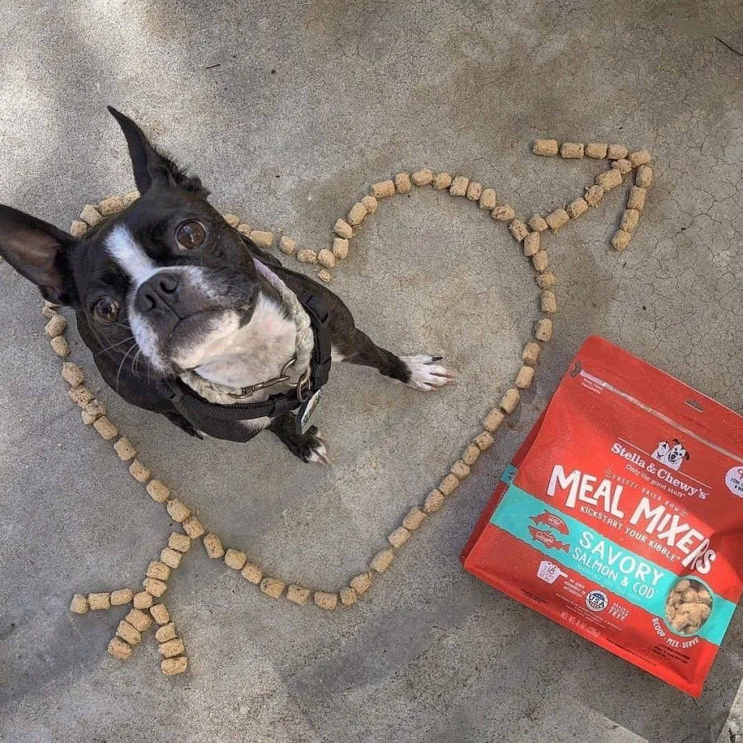 Stella and Chewy's Freeze-Dried Raw Meal Mixers Food for Dogs