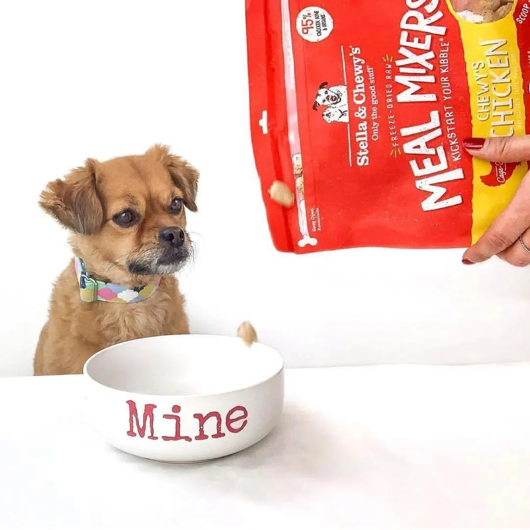 Stella and Chewy's Freeze-Dried Raw Meal Mixers Food for Dogs